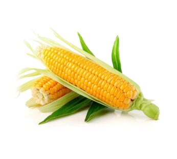 Organic Sweet Corn