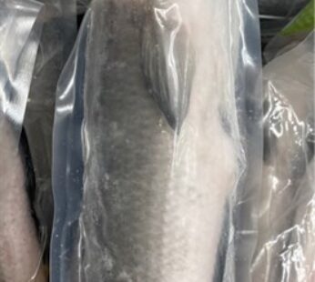 Snakehead fish 1kg