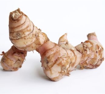 Củ Riềng đông lạnh　冷凍 Galangal root