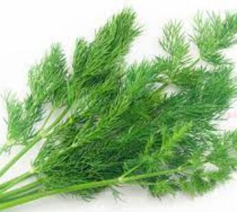 DILL